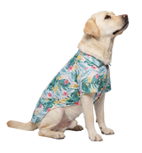 Tropical Pet Shirt