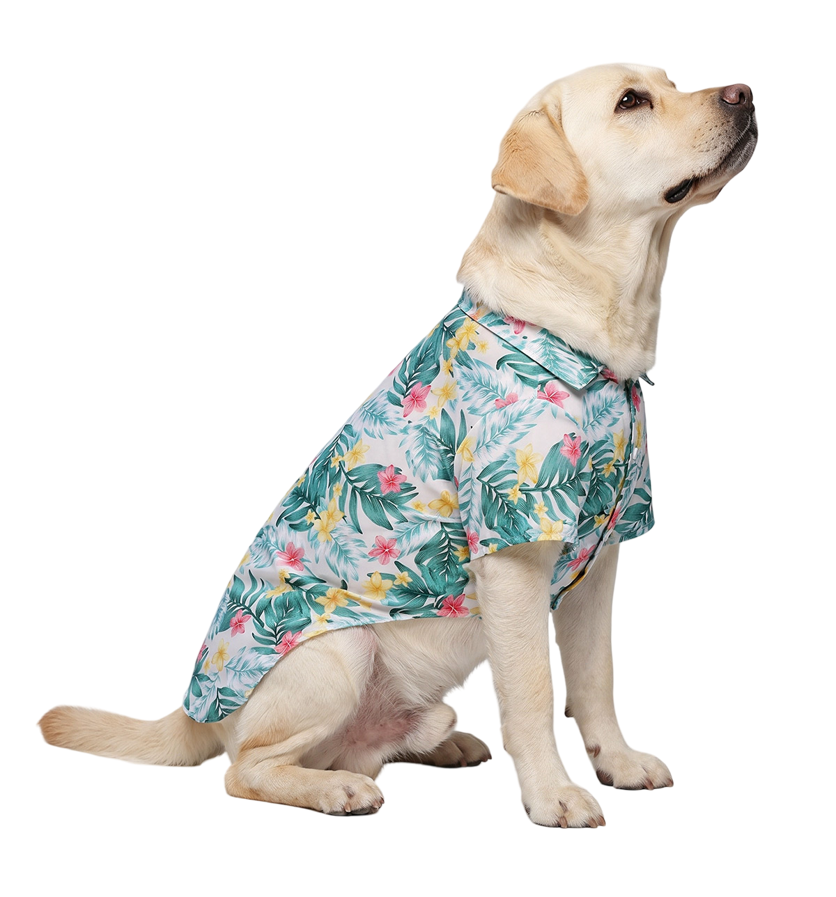 Tropical Pet Shirt