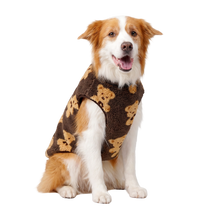 Teddy Pet Vest