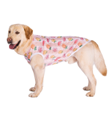Summer Pet Vest