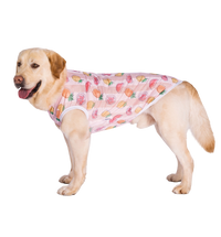 Summer Pet Vest