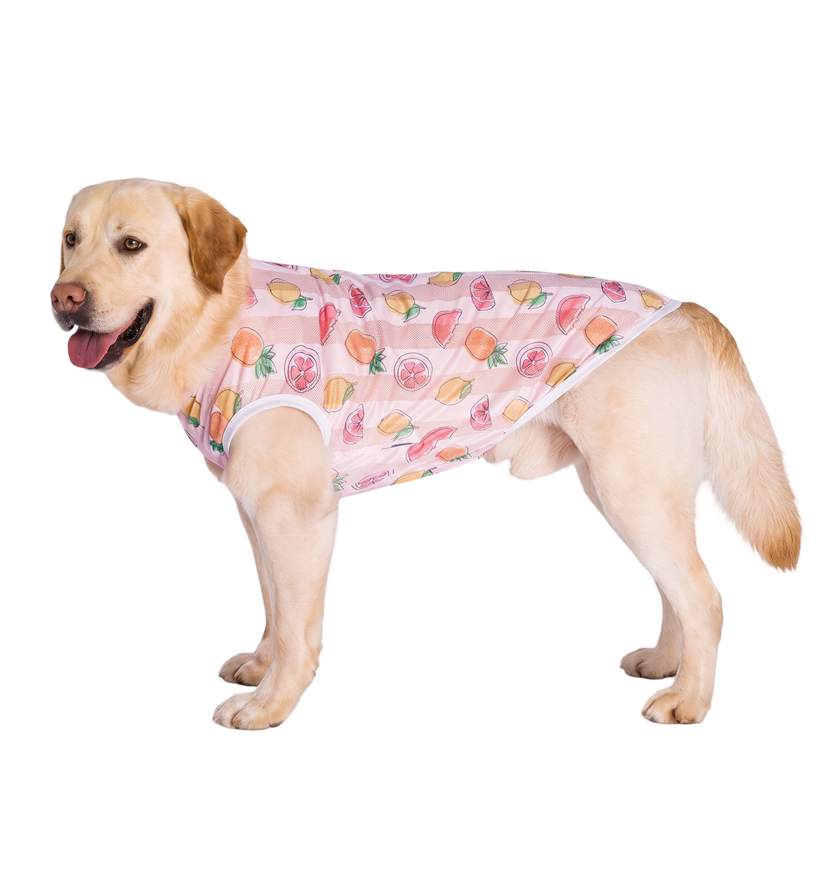 Summer Pet Vest
