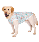 Summer Pet Vest