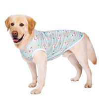 Summer Pet Vest