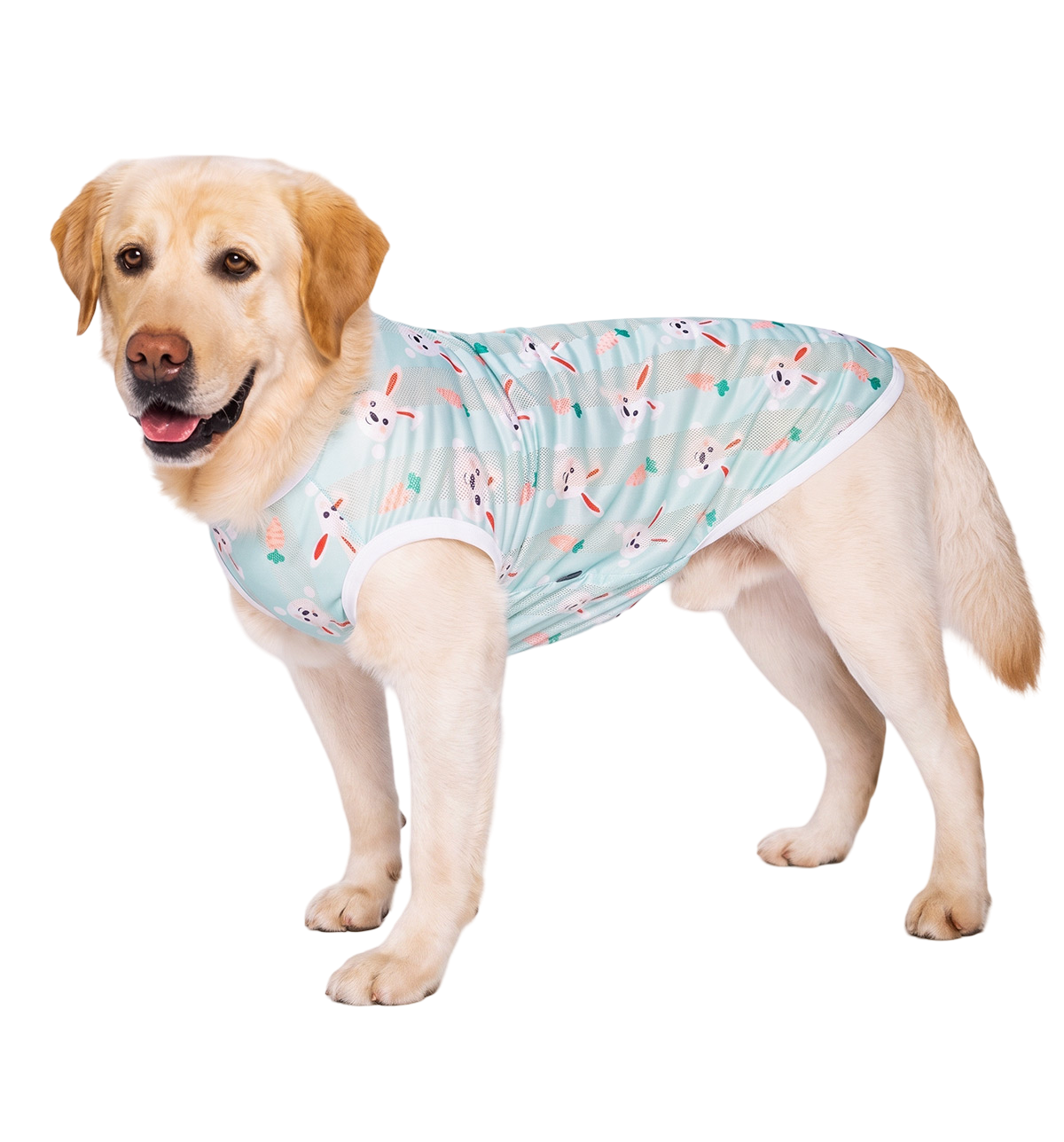 Summer Pet Vest