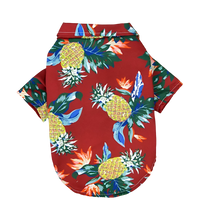 Tropical Pet Shirt