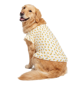 Floral Pet Dress