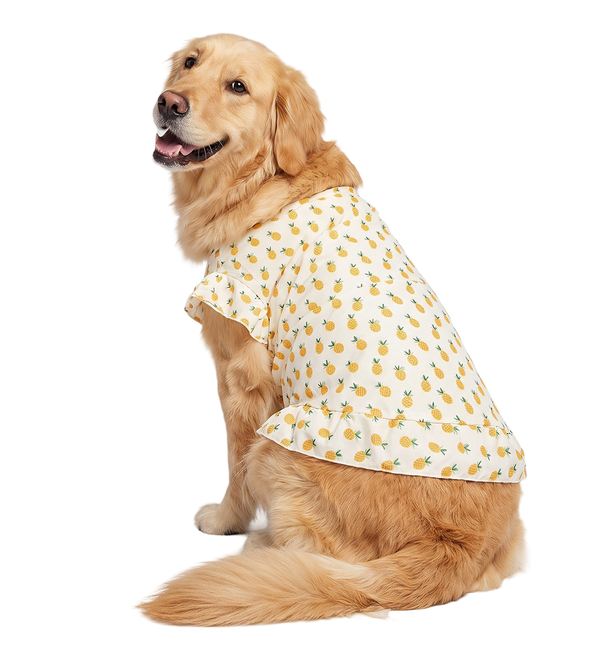 Floral Pet Dress