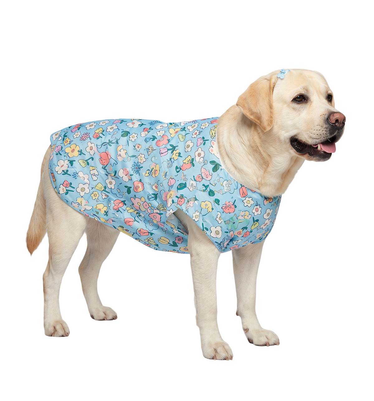 Floral Pet Dress