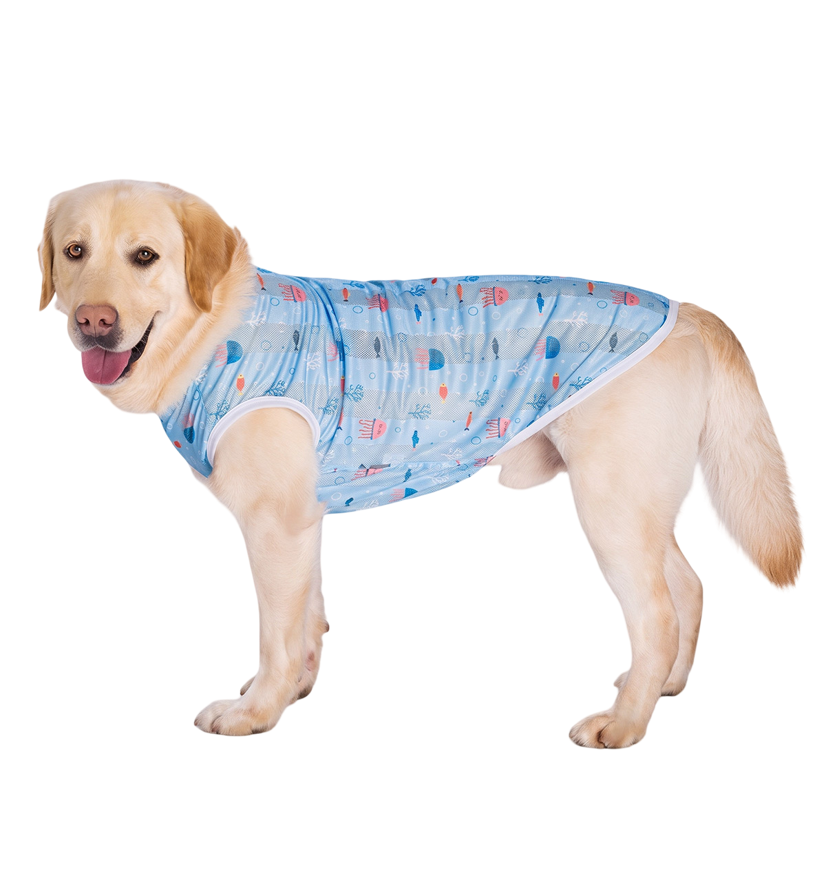 Summer Pet Vest