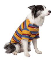 Stripe Pet Tee