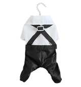 Tuxedo Cat Outfit