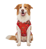 Luxe Pet Vest
