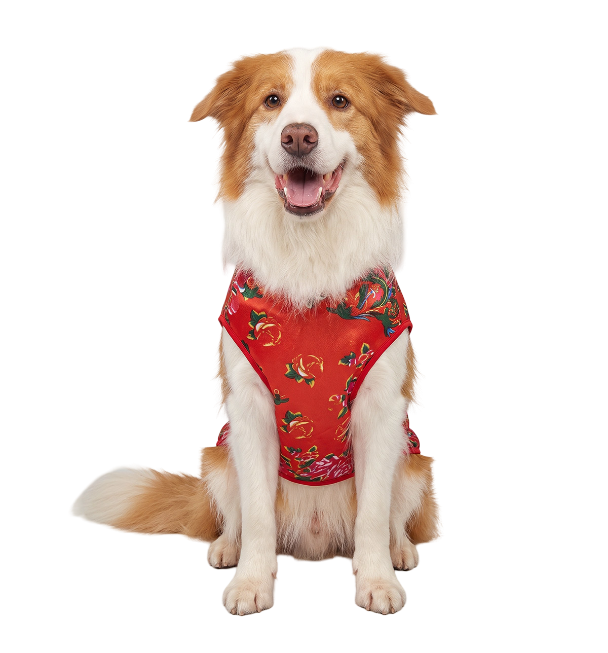 Luxe Pet Vest