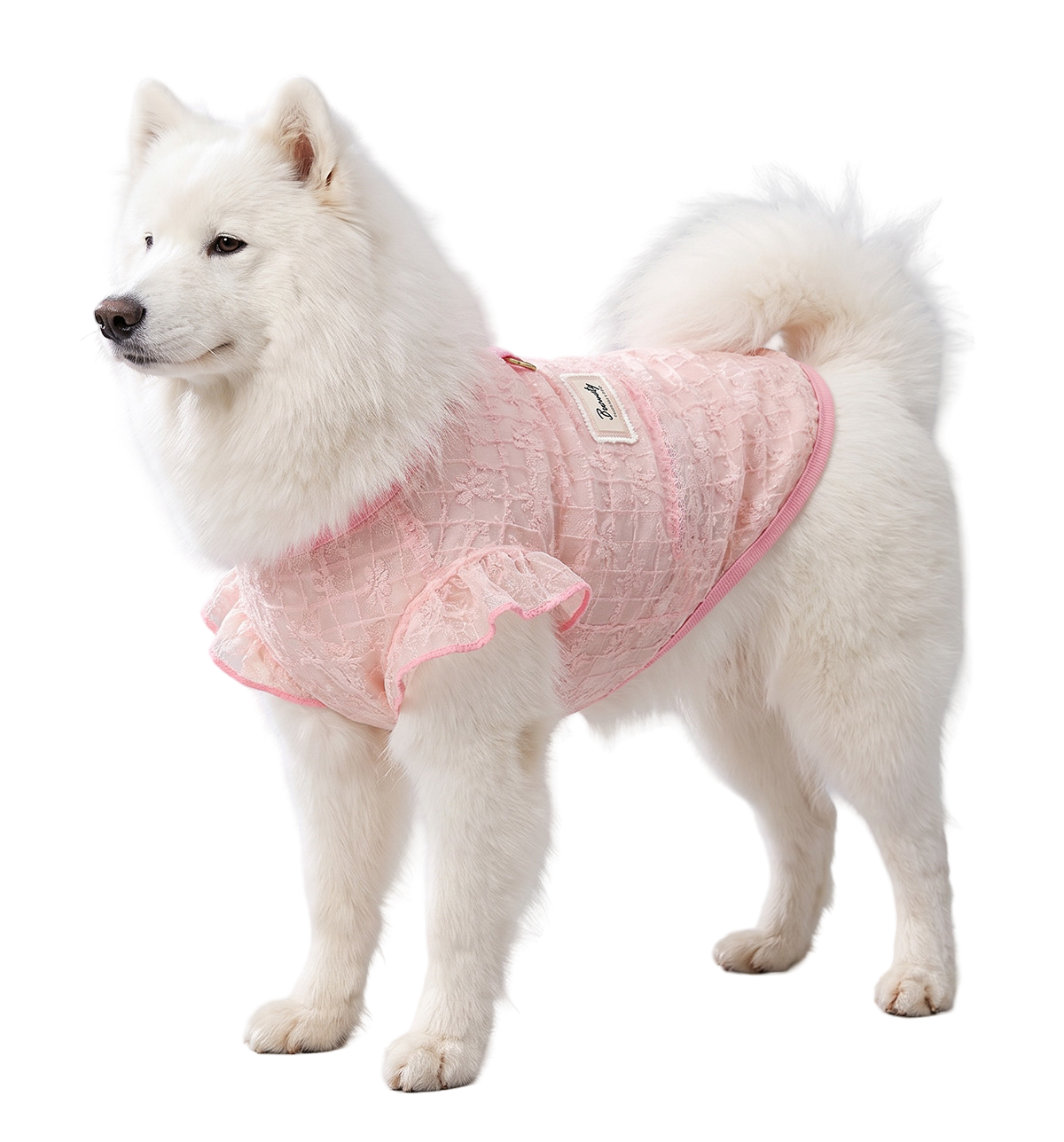 Ruffle Pet Shirt