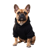 Urban Pet Hoodie