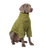Teddy Pet Sweater