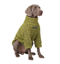 Teddy Pet Sweater
