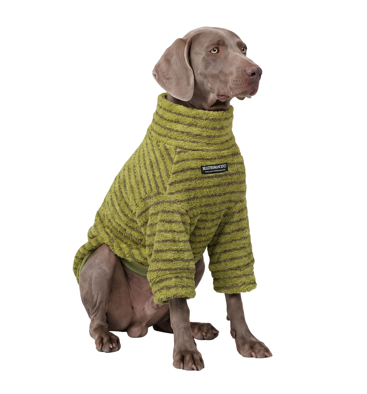 Teddy Pet Sweater