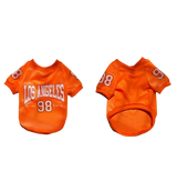 College Pet Jersey