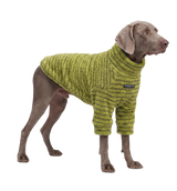 Teddy Pet Sweater