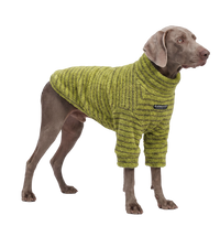Teddy Pet Sweater