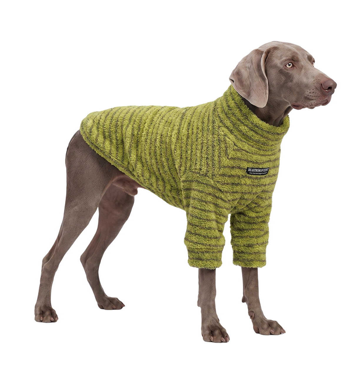 Teddy Pet Sweater