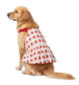 Berry Pet Dress