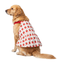 Berry Pet Dress