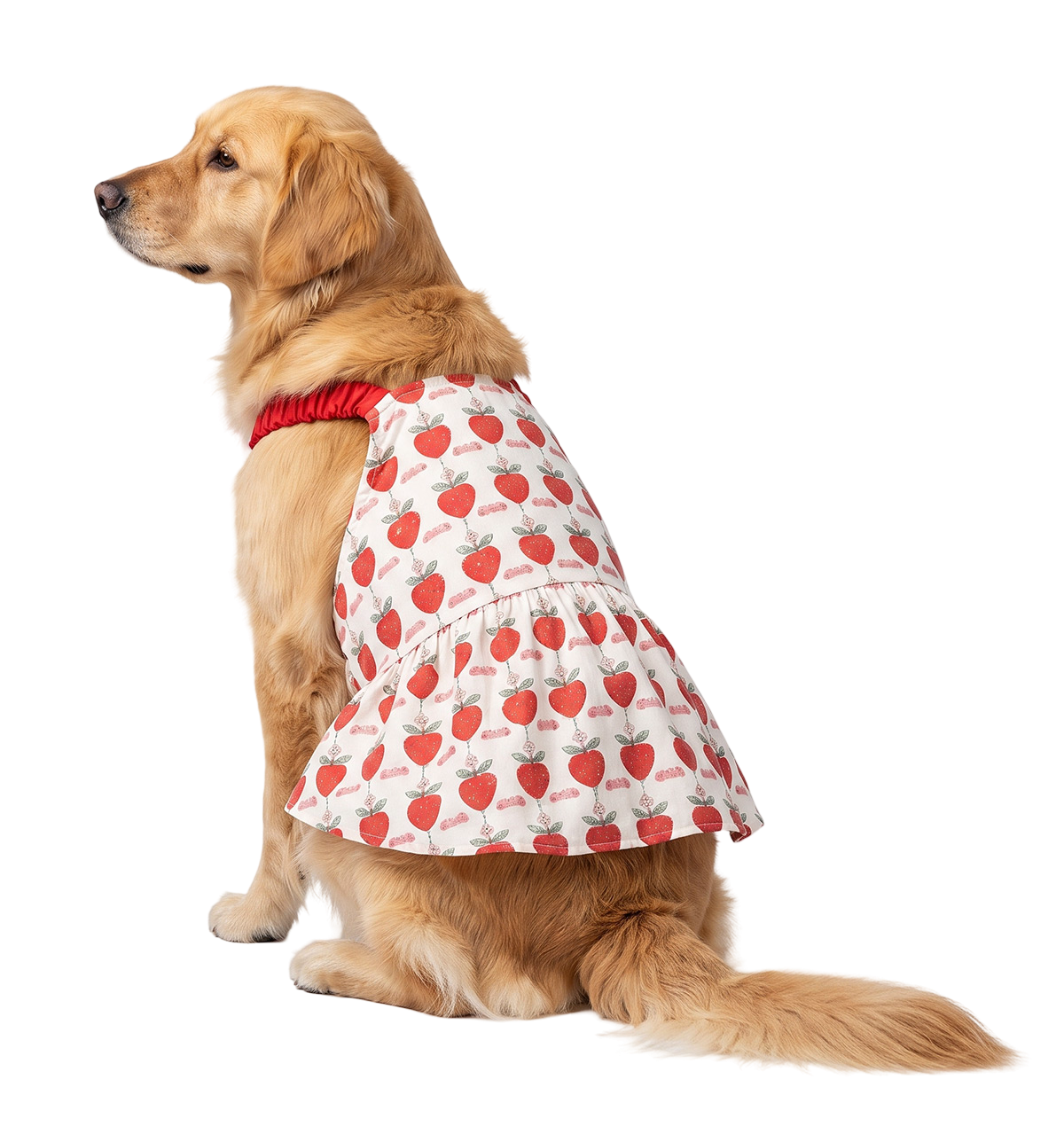Berry Pet Dress