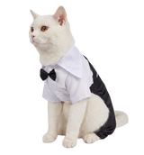Tuxedo Cat Outfit