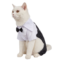 Tuxedo Cat Outfit