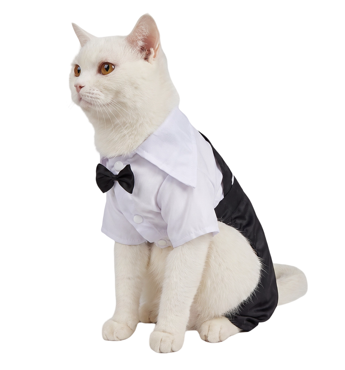 Tuxedo Cat Outfit