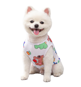 Cute Dino Pet Vest