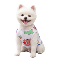 Cute Dino Pet Vest