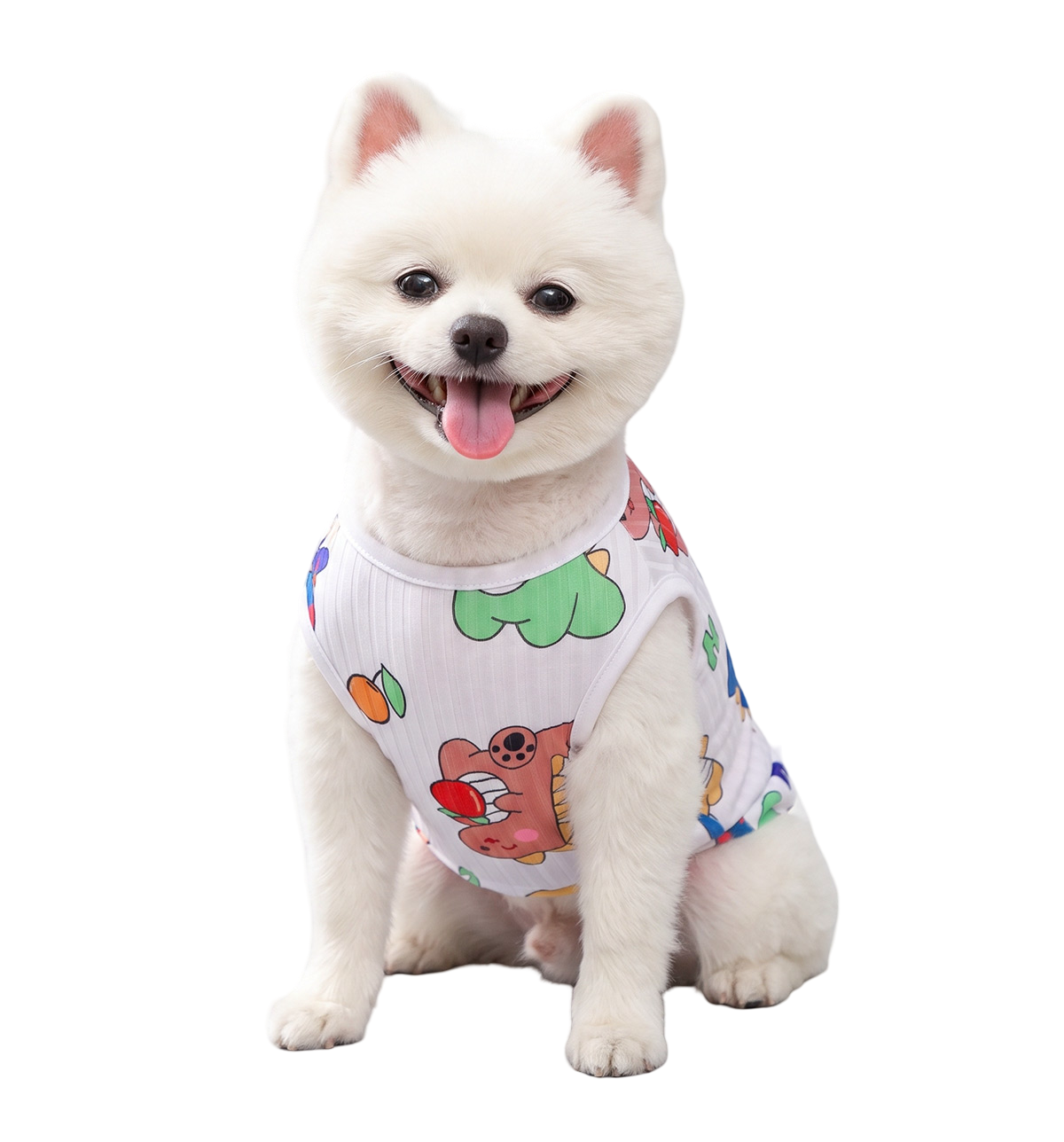 Cute Dino Pet Vest