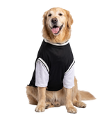 Sport Pet Tee