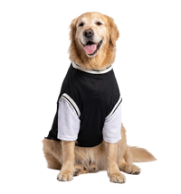 Sport Pet Tee