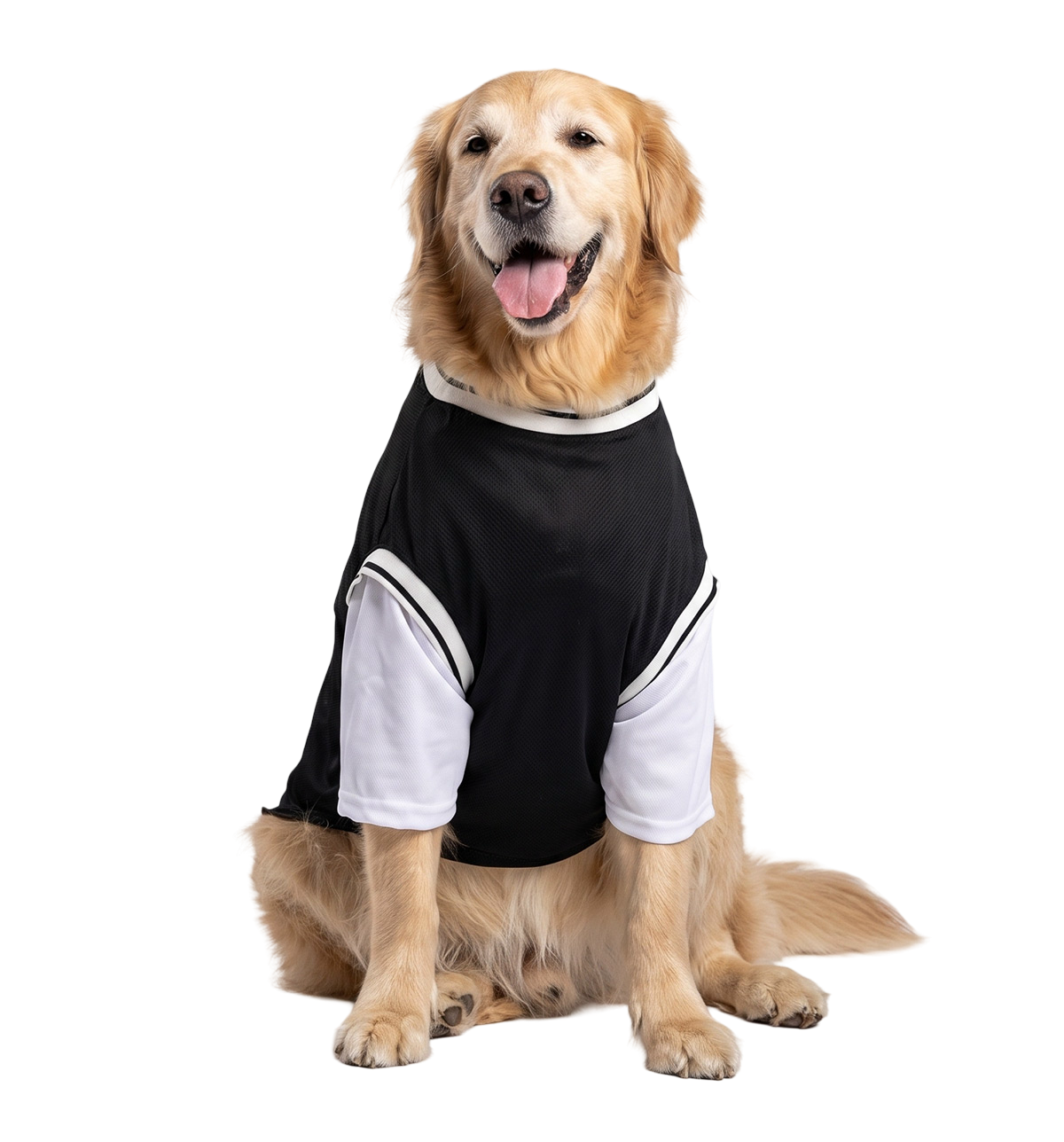 Sport Pet Tee