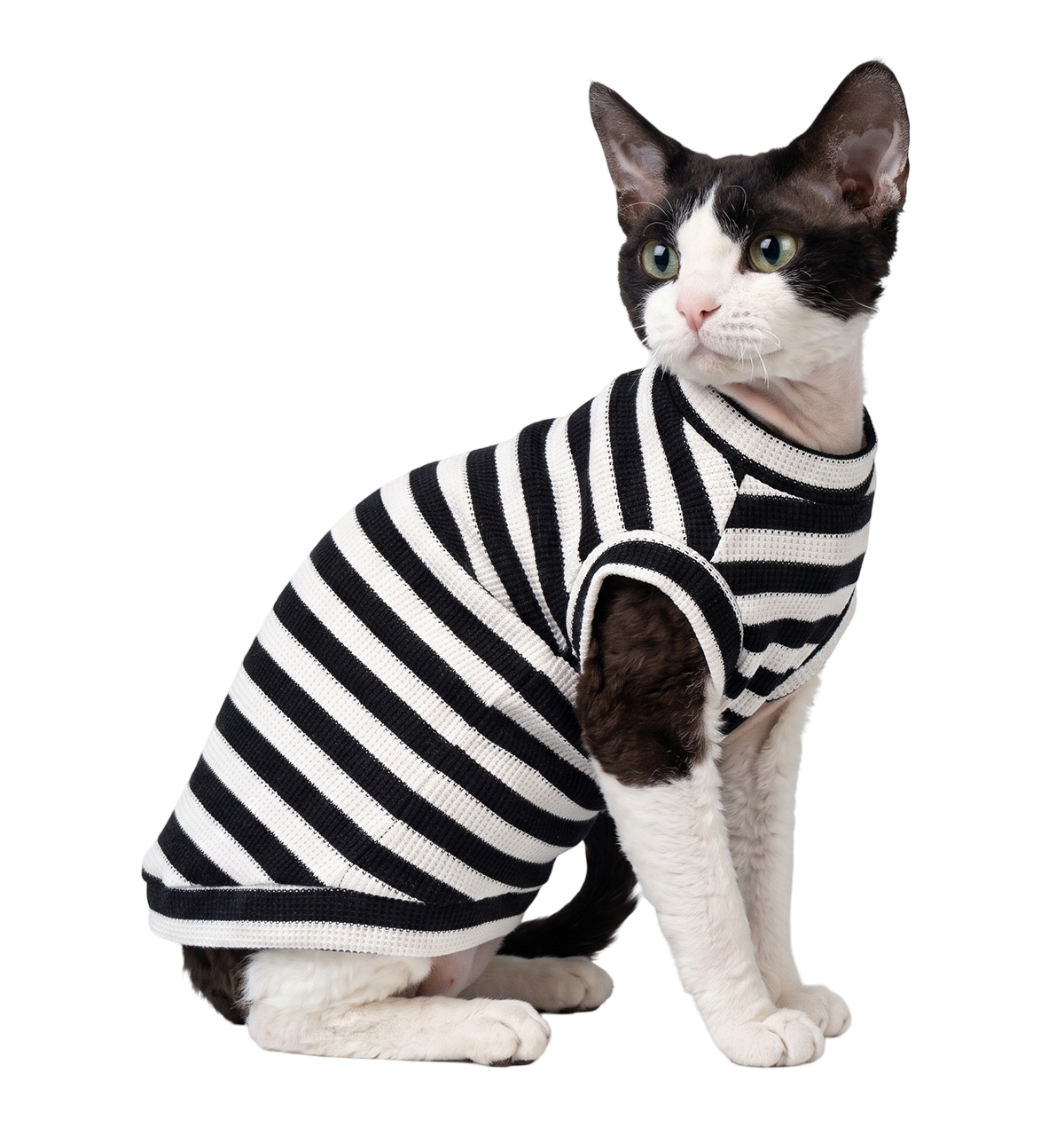 Stripe Pet Sweater