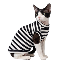 Stripe Pet Sweater