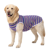 Striped Pet Tee