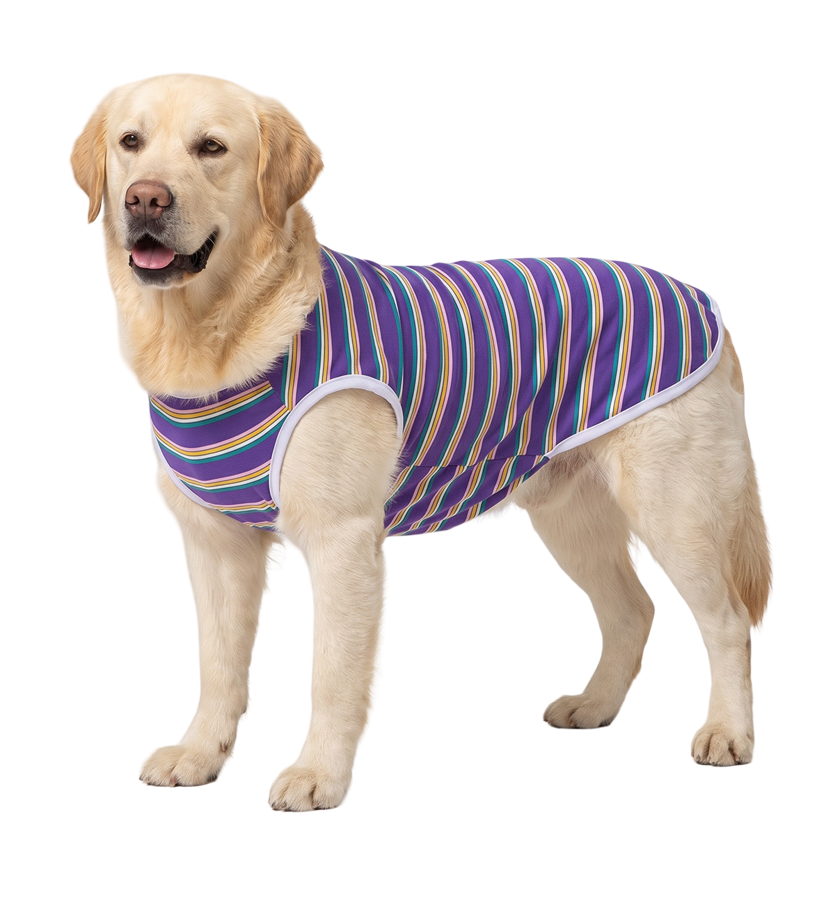Striped Pet Tee