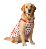Berry Pet Dress