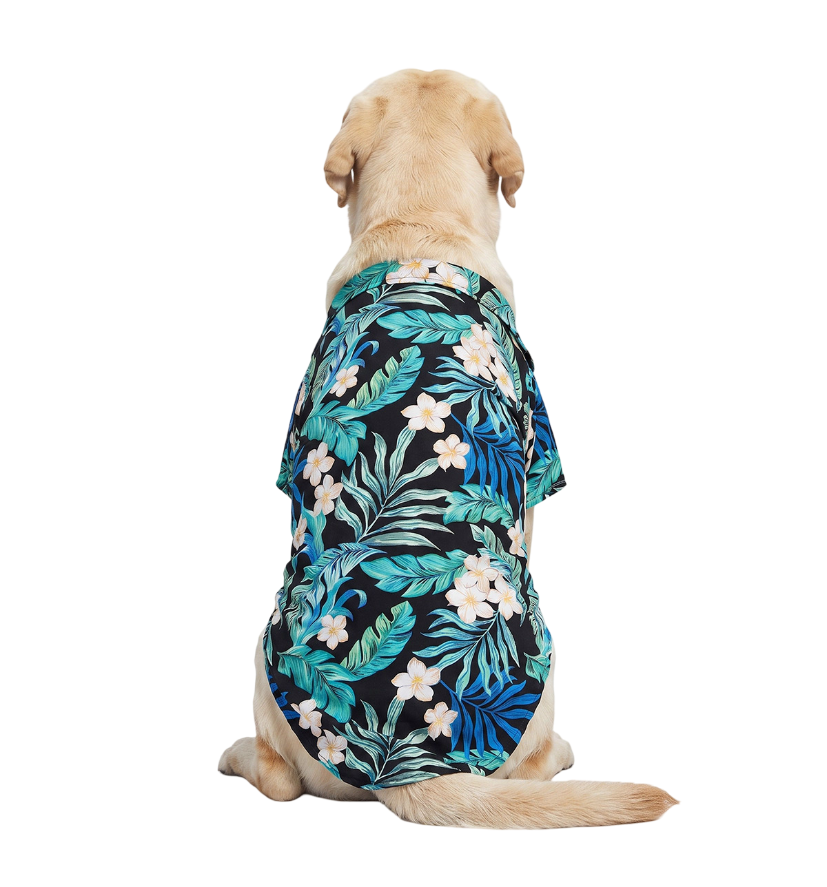 Tropical Pet Shirt
