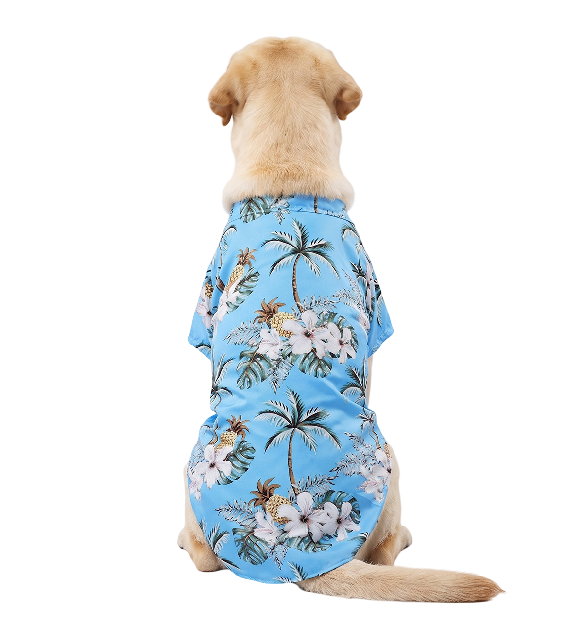 Tropical Pet Shirt