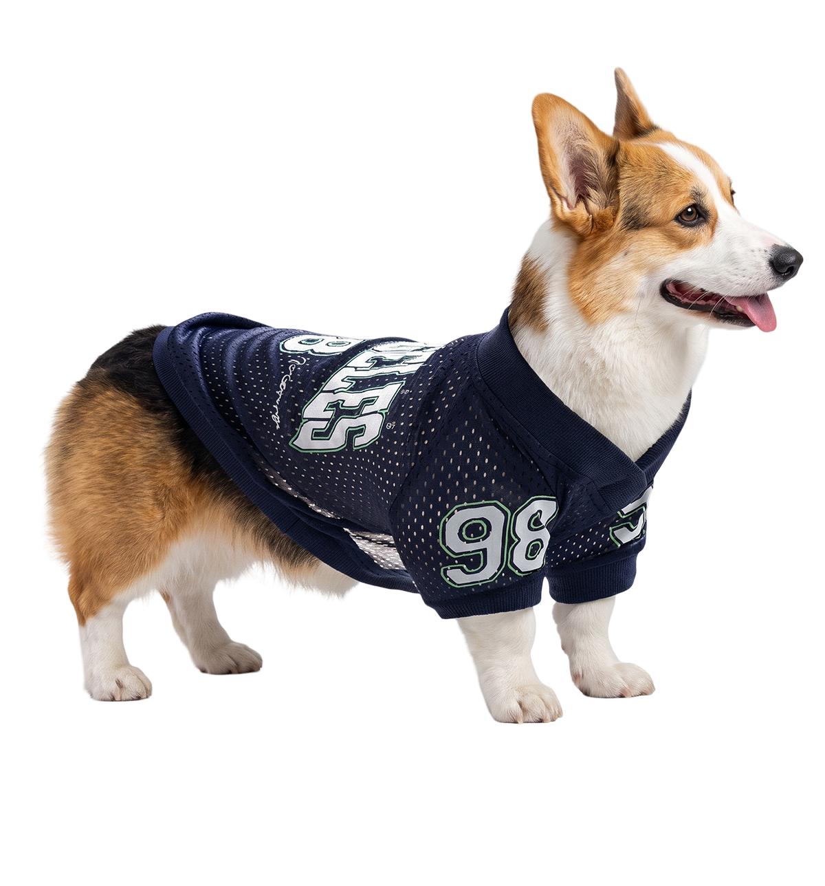 College Pet Jersey
