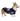 College Pet Jersey