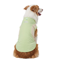 Sport Pet Tee