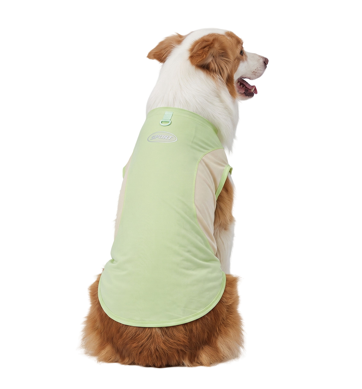 Sport Pet Tee
